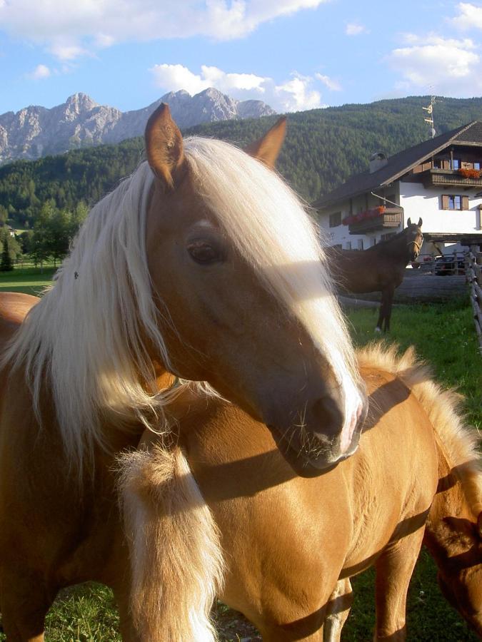 Residence Tolderhof - Olangcard Included Valdaora di Sopra Dış mekan fotoğraf